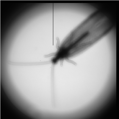 friend2.png (225.3 KB) Vaadatud 3034 korda friend2.png